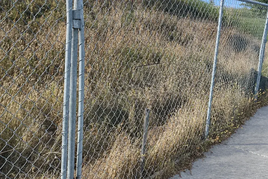 Chain link fence fabric and its finished top edge beside a post