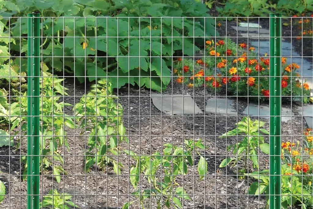 Green PVC-coated welded wire mesh fence around a planted garden