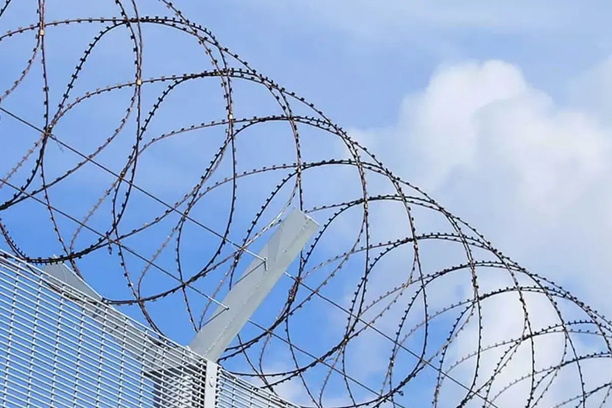 Razor wire loops installed above a tall metal mesh fence