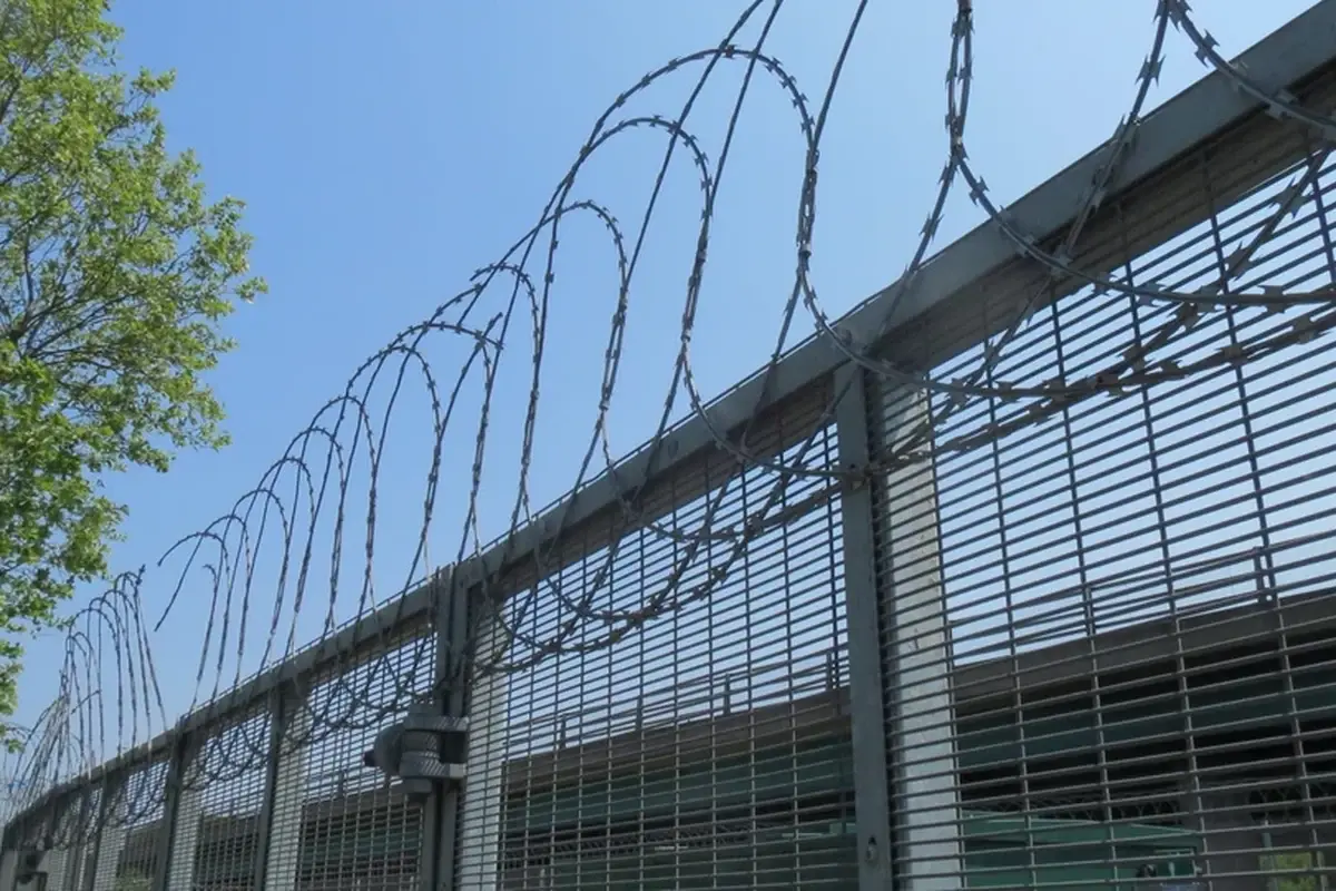 Concertina razor wire loops mounted along the top of a tall mesh fence