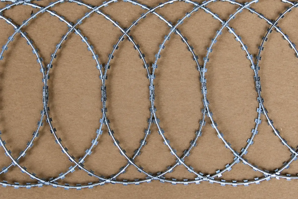 Flat arrangement of overlapping razor wire loops against a plain background