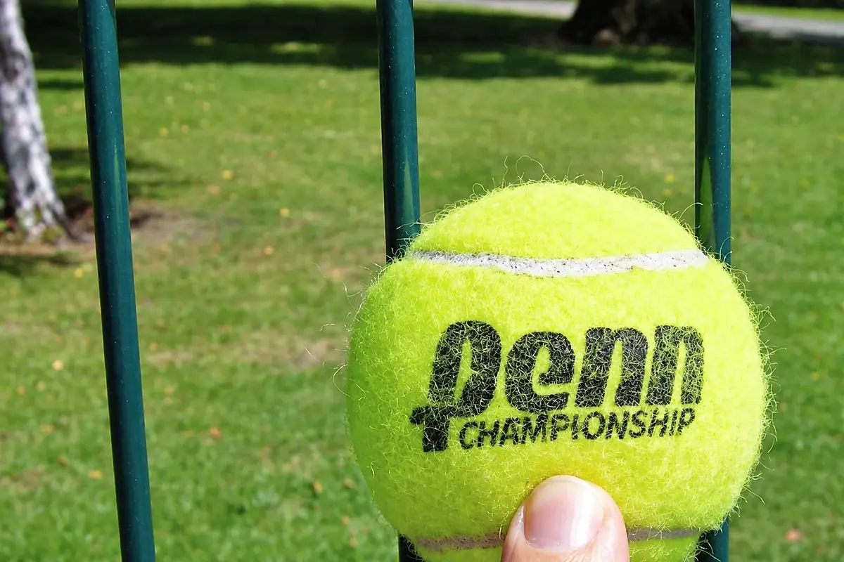 Tennis ball held beside the openings of a metal mesh fence