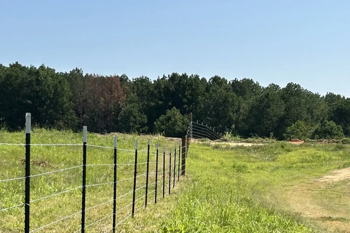 Wire field fence running through open grassland beside a rural path