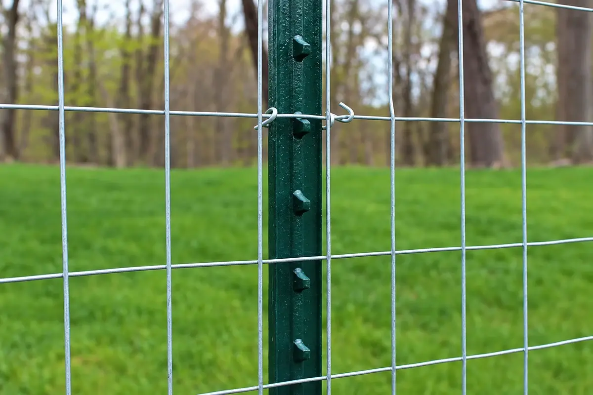 Close view of galvanized wire mesh fixed to a green fence post