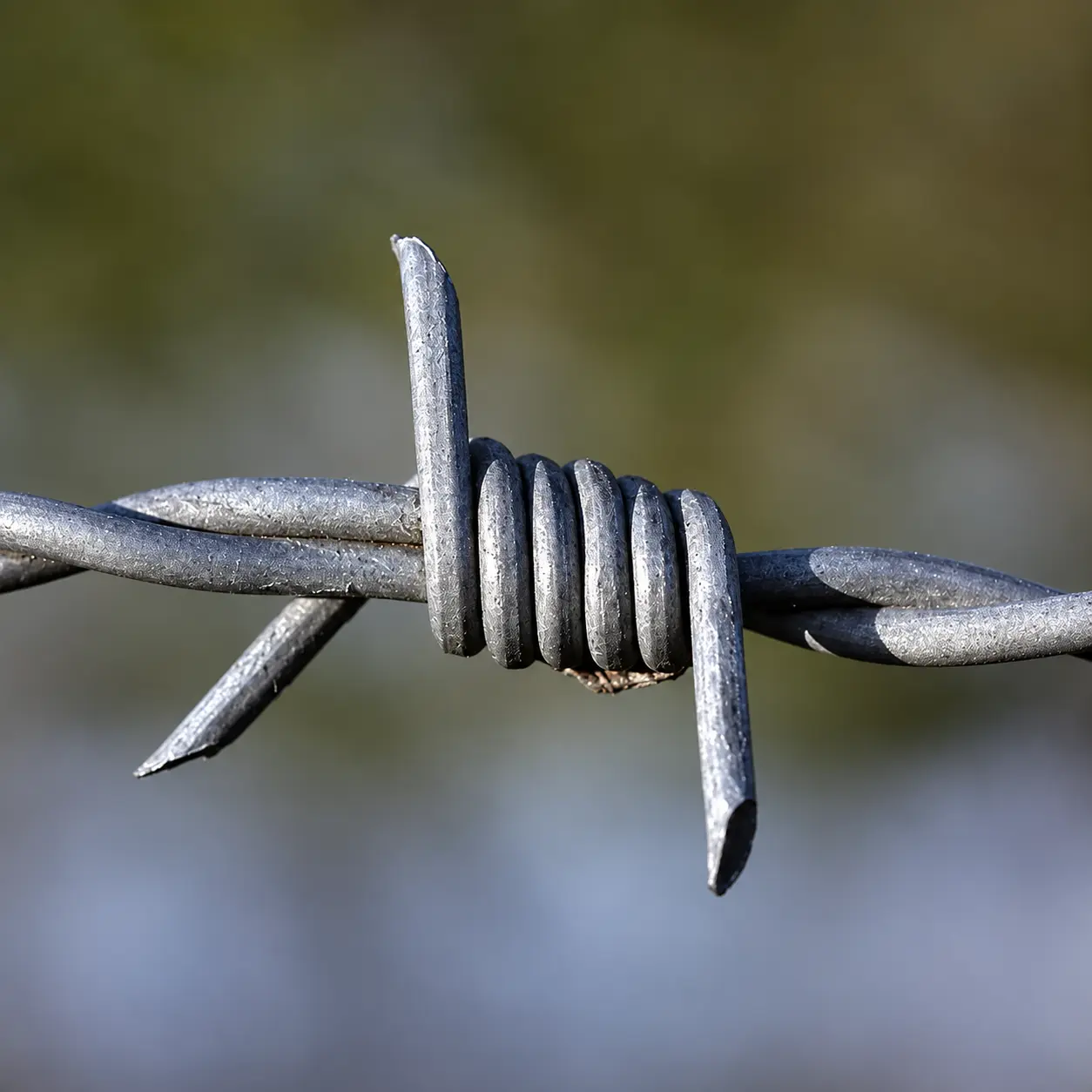 Close view of a galvanised barb cluster twisted around two line wires