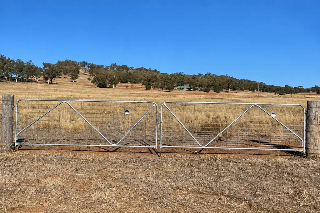 Pair of mesh farm gates between timber posts at a pasture entrance
