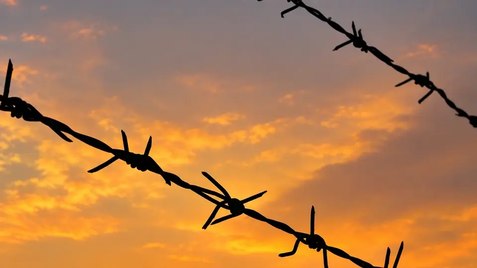 Barbed wire strands against an evening sky