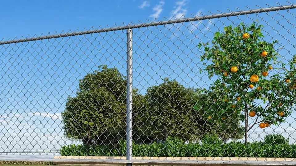 Galvanized chain link mesh between round posts and rails