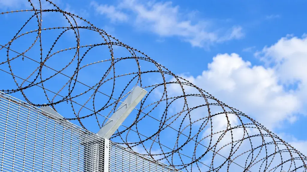 Concertina razor wire mounted above security mesh