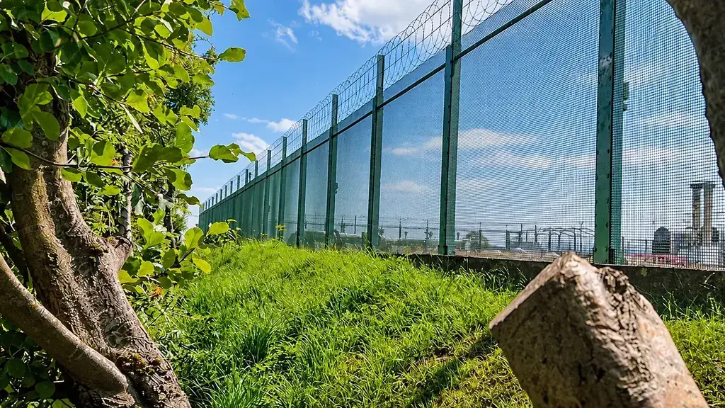 Green mesh security fence beside a grassy bank and tree stumps