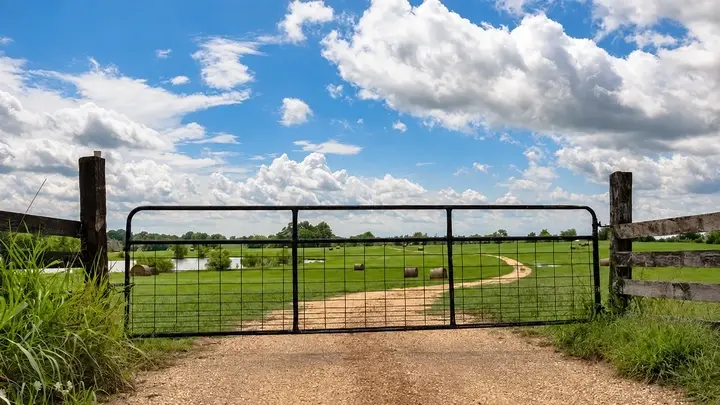 Mesh farm gate across a rural access track
