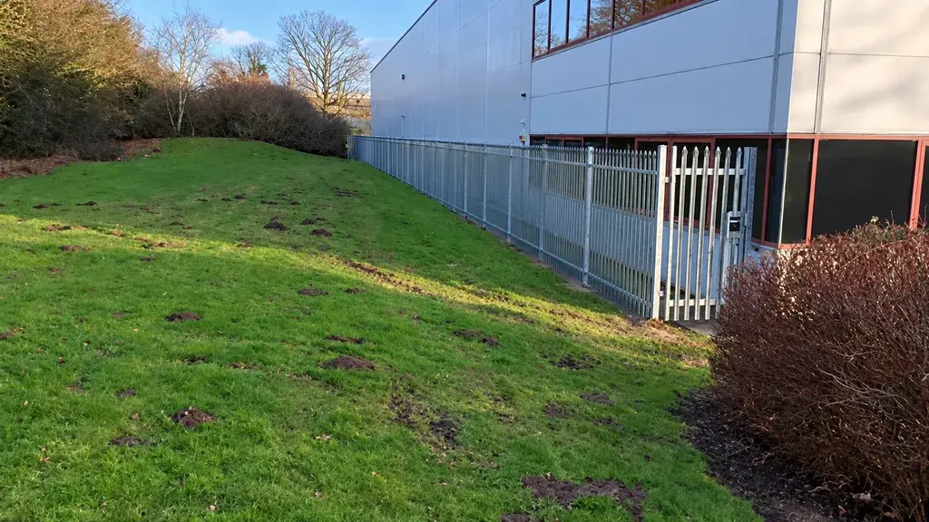 Galvanized palisade fencing beside an industrial building