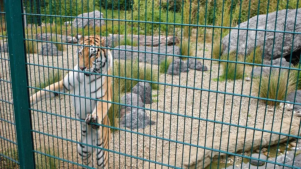 Welded mesh fence around a wildlife enclosure