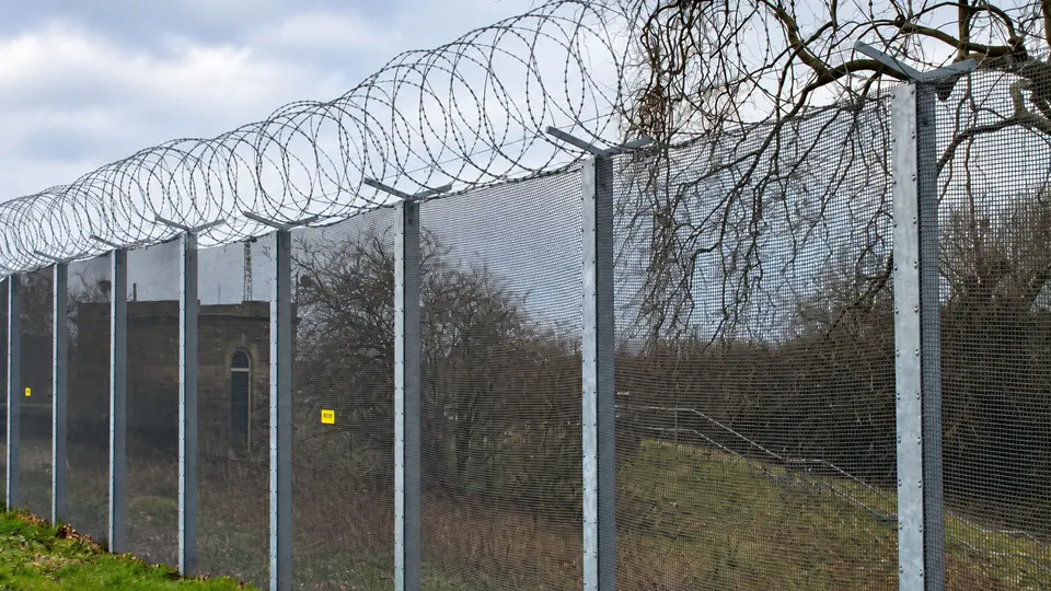 Perimeter mesh with angled supports and coiled wire topping