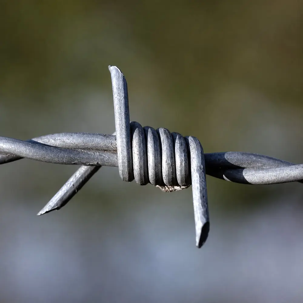 Close-up of a two-point barb twisted around galvanised wire