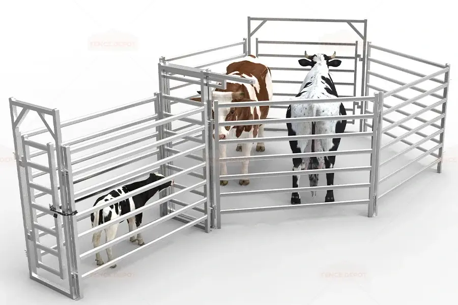 Elevated view of a cattle handling yard assembled from tubular panels