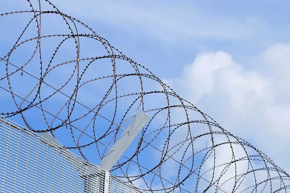 Concertina razor wire supported above a mesh fence on angled brackets