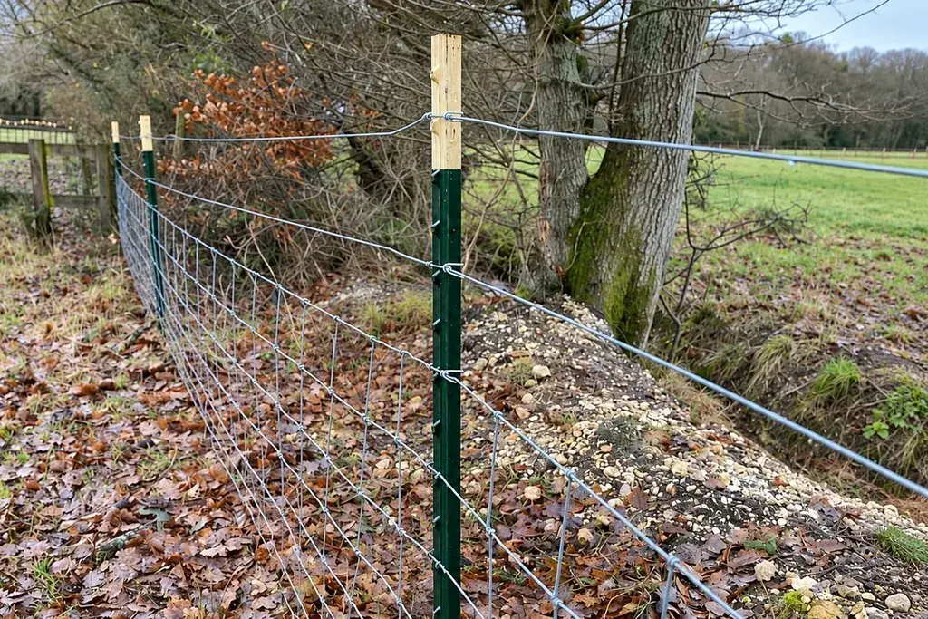 Steel T-post supporting a wire fence along a farm boundary