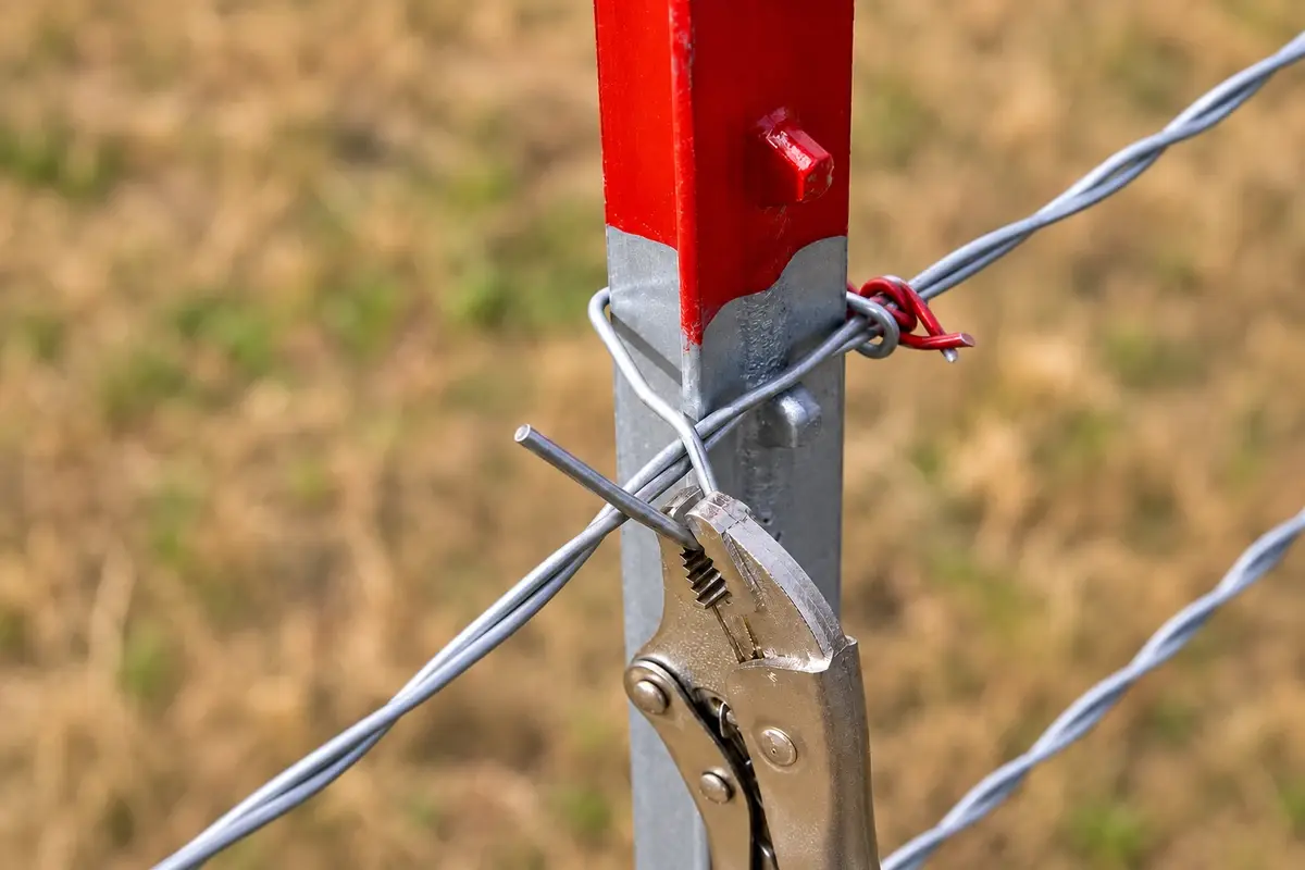 Wire clip fastening fence wires to a steel T-post