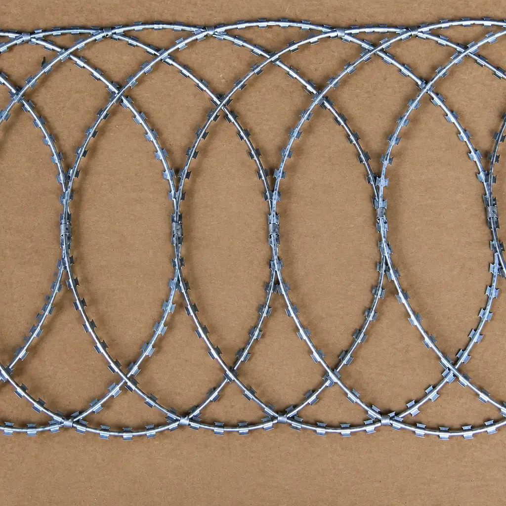 Overlapping razor wire loops arranged in a flat strip on cardboard