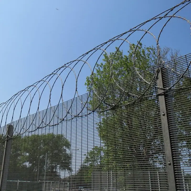 Flat-wrap razor wire above a mesh fence with loops aligned along the boundary