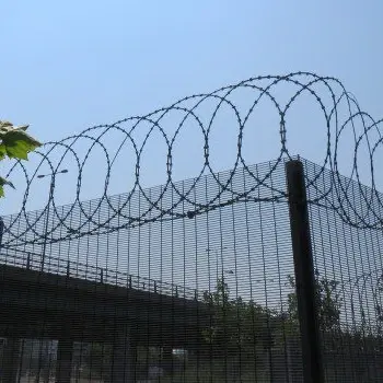 Flat razor wire loops above a metal security fence