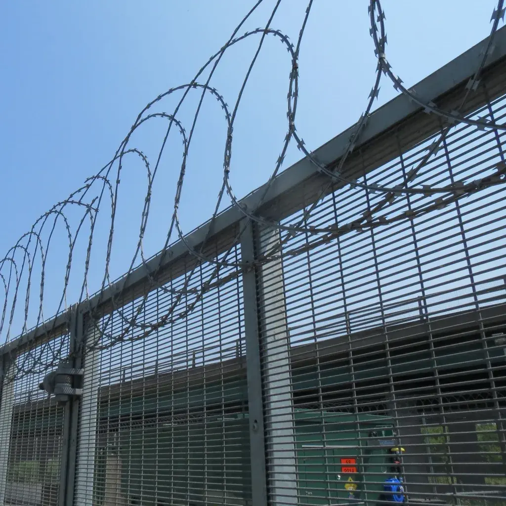 Flat-wrap razor wire loops installed along a tall mesh security fence