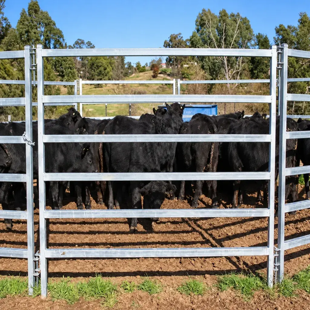 Galvanised rail farm gate at a cattle enclosure