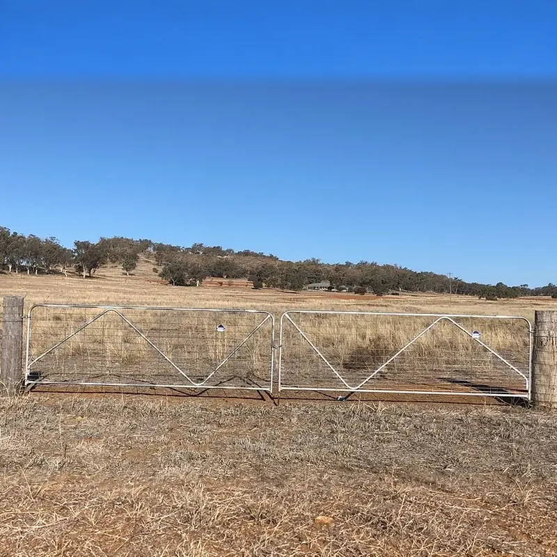 Galvanised rail farm gate between timber posts in open pasture