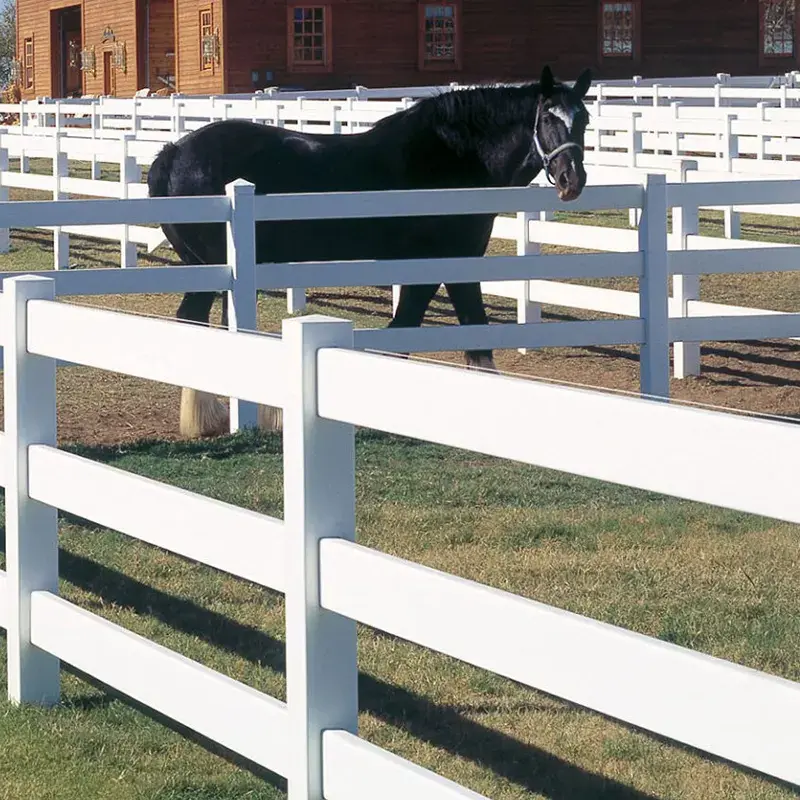 Horse inside a paddock with a visible white rail boundary
