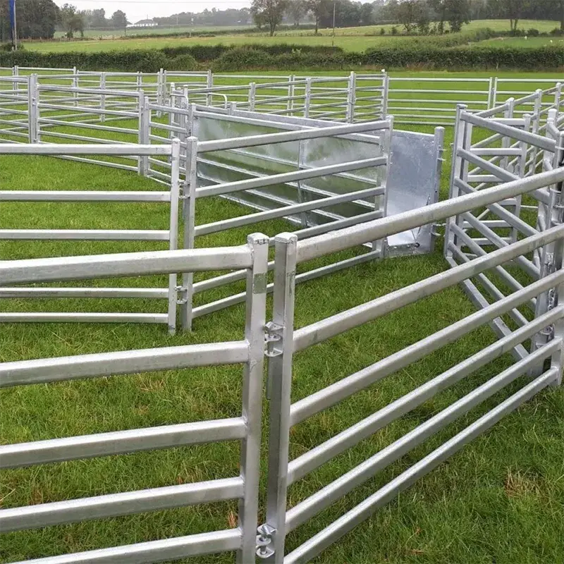 Galvanised sheep hurdle panels joined at a yard junction