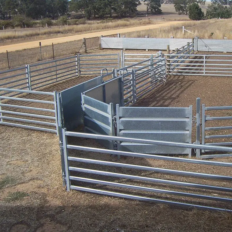 Overhead view of modular sheep yard panels and sorting lanes