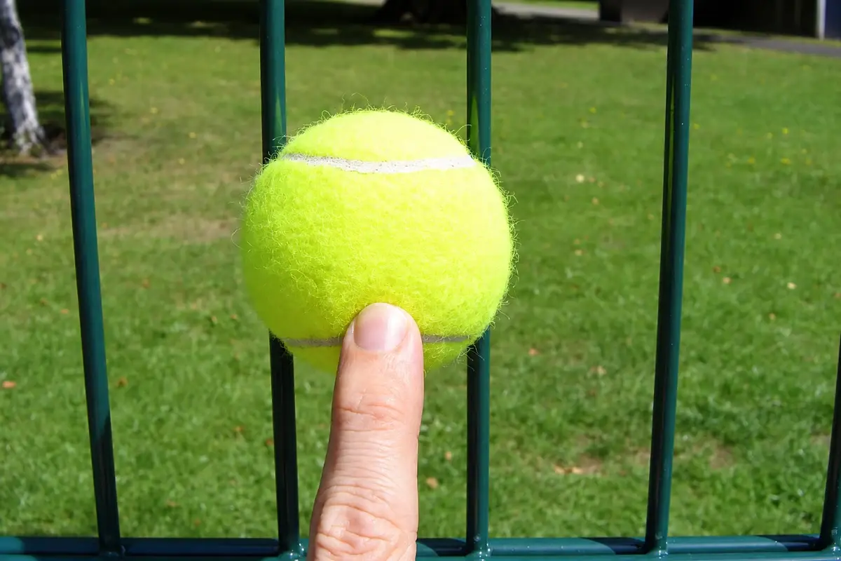Tennis ball held against green metal fence bars to illustrate the clear opening.